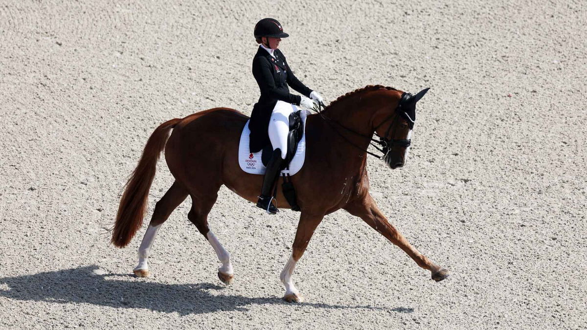 Nanna Skodborg Merrald and horse Zepter of Team Denmark compete in the Dressage Grand Prix Team and Individual Qualifier on day four of the Olympic Games Paris 2024 at Chateau de Versailles on July 30