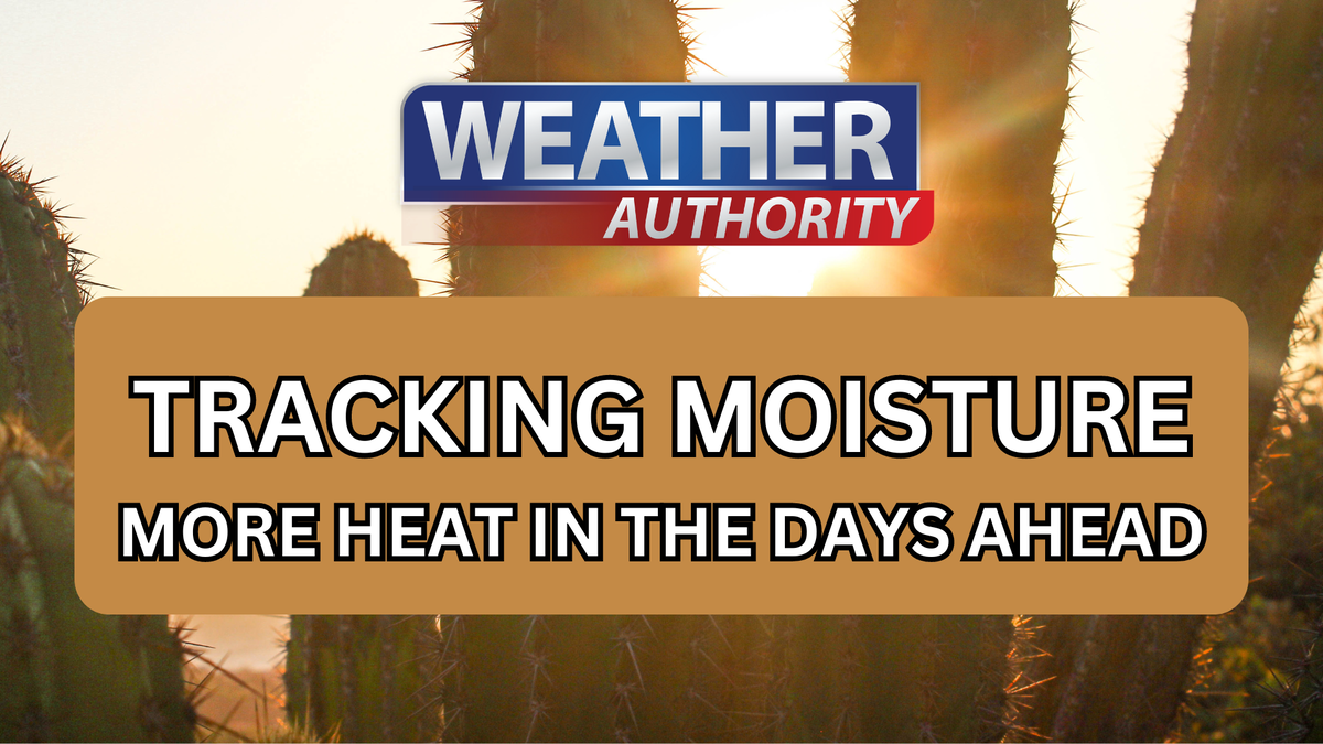 Continue to monitor humidity and moisture as well as a little more warmth