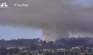 Varias agencias detienen el avance del incendio de Buena cerca de Watsonville