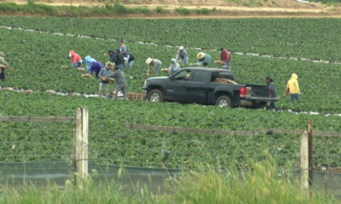 Se aprueba la creación de un comité para abogar por los derechos de los inmigrantes en el Condado de Monterey