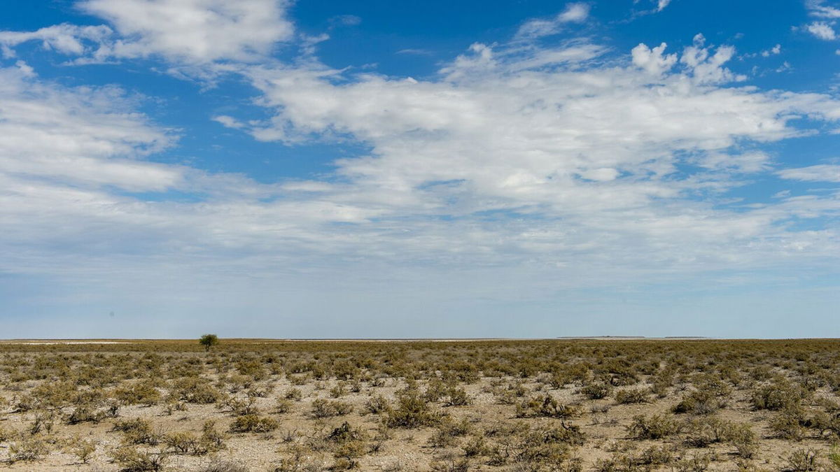<i>Wolfgang Kaehler/LightRocket/Getty Images/File via CNN Newsource</i><br/>A view of the Etosha National Park in northwestern Namibia.