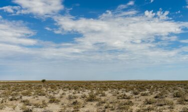 A view of the Etosha National Park in northwestern Namibia.