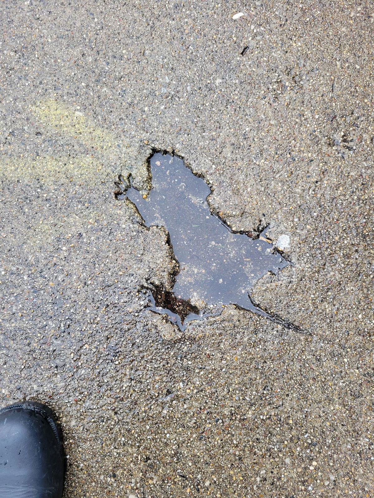 <i>Maureen McLean/Shutterstock via CNN Newsource</i><br/>A fluffy grey squirrel stops in a park in the town of Maidenhead
